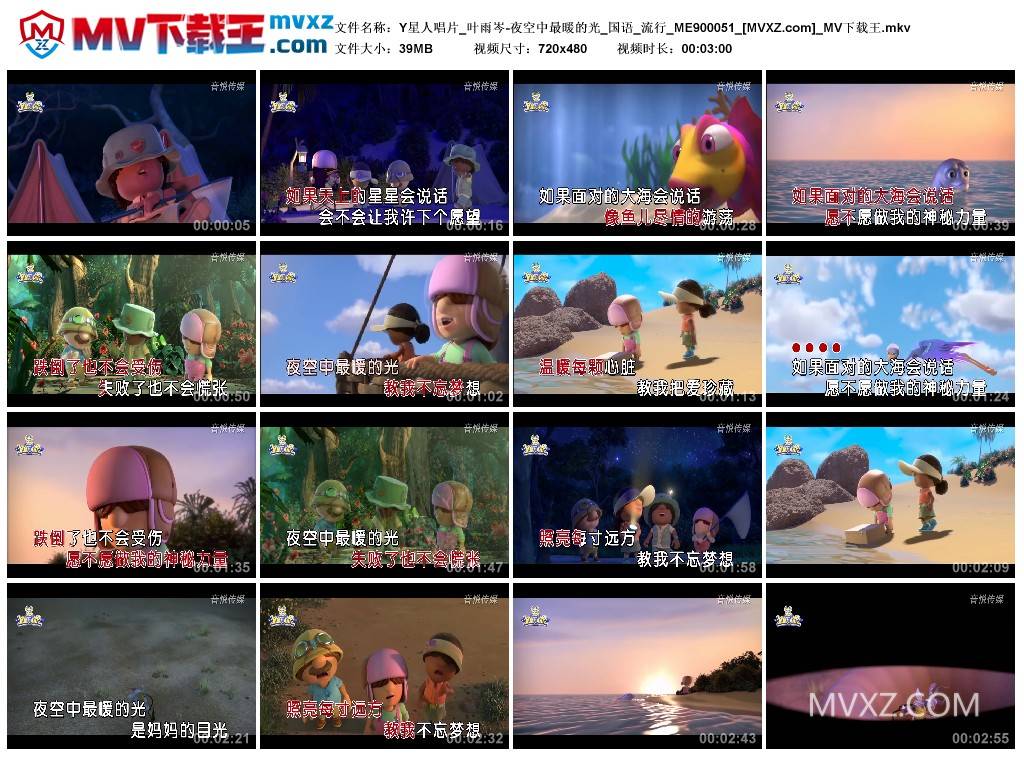 Y星人唱片_叶雨岑-夜空中最暖的光_国语_流行_ME900051